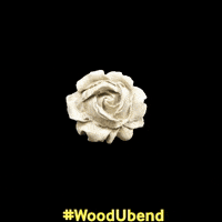 woodubend flower flowers painting diy GIF