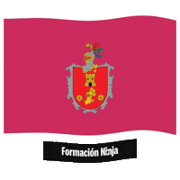 Flag Spain Sticker by Formación Ninja