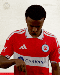 Chicago Fire Agree GIF by Chicago Fire Football Club