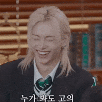 Stray Kids Skz GIF