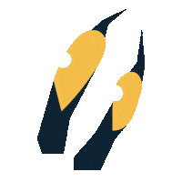 Beer Eyes Sticker by Scheldebrouwerij