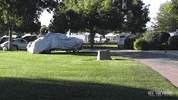 driving classic car GIF by Off The Jacks