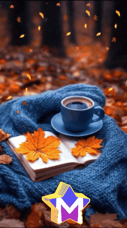 Cafe Amigos GIF by Murcianys LLC