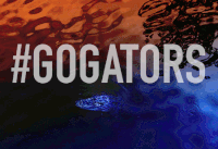 florida gators alligator GIF by University of Florida