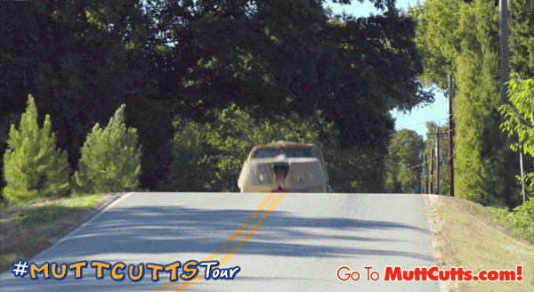 comedy tour GIF by Dumb and Dumber To