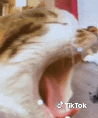 Dance Omg GIF by TikTok France