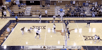 ncaasports ncaa volleyball texas longhorns GIF