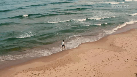 Beach Sea GIF by Productions Deferlantes