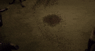 bugs #braindead GIF by CBS