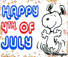 4th independence day GIF