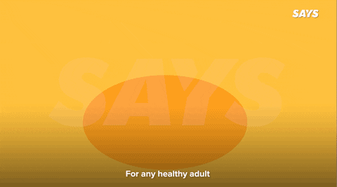 GIF by saysdotcom