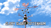 Glory Glory Tottenham