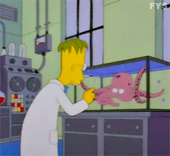 homer simpson simpsons GIF