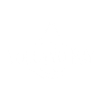 Theme Park Sticker by Universal Destinations & Experiences