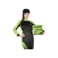 namwahbattery singapore car battery namwah amaron Sticker