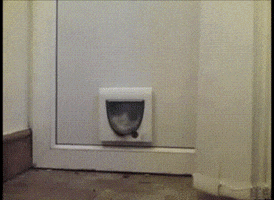 wide GIF
