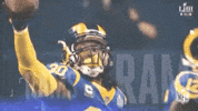 2018 Nfl Football GIF by NFL