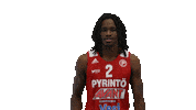 Basketball Hoops Sticker by Basket_fi