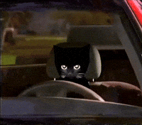 Bro Gif GIF