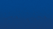 Bourg En Bresse Win GIF by Football Bourg-en-Bresse Péronnas 01