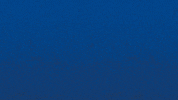 Bourg En Bresse Win GIF by Football Bourg-en-Bresse Péronnas 01