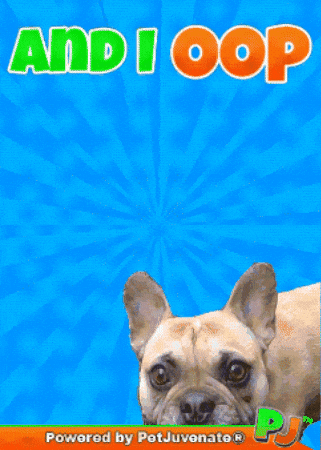 And I Oop Whatcha Say GIF by PetJuvenate - PJ