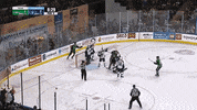 GIF by Milwaukee Admirals