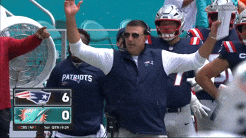 Mike Vrabel Nfl GIF by New England Patriots