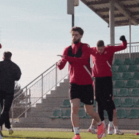 Rts GIF by Widzew Łódź