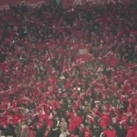 Football Soccer GIF by Widzew Łódź