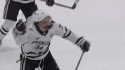 Frozen Four Jump GIF by TheDreamTeam 