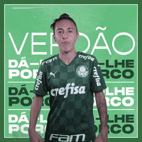 Futebol Feminino GIF by SE Palmeiras