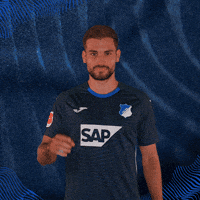 Sport Bundesliga GIF by TSG Hoffenheim