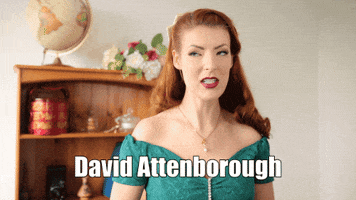 jessicaoutofthecloset jessica kellgren fozard jessica out of the closet jessicaoutofthecloset GIF