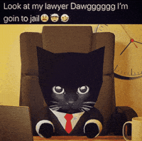 Bro Gif GIF