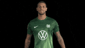 Heart Love GIF by VfL Wolfsburg
