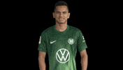 Heart Love GIF by VfL Wolfsburg