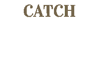 Food Fish Sticker by TheSeafoodBar