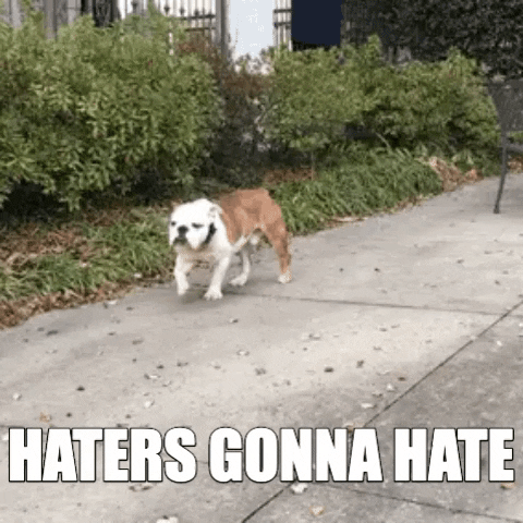 louisianatech giphygifmaker dogs bulldog haters GIF