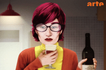 vin soiree GIF by ARTEfr