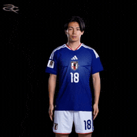 Fifa World Cup Japan GIF by Respective