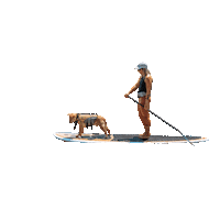 Sup Paddle Board Sticker by sup_pups
