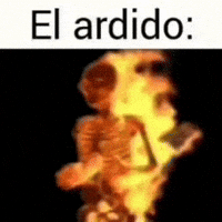 Eltvsintv GIF