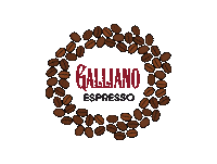 Espresso Martini Coffee Sticker by gallianococktails