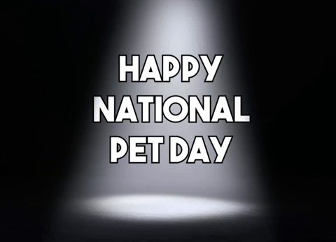 Happy National Pet Day