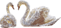 swan STICKER