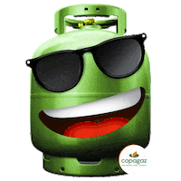 Feliz Gas Sticker by Liquigás