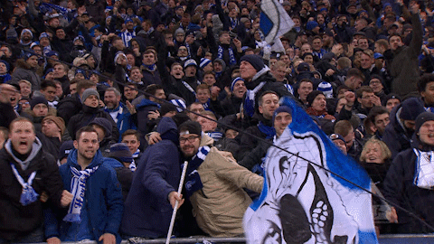 party goal GIF by Hertha BSC