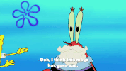 season 9 GIF by SpongeBob SquarePants