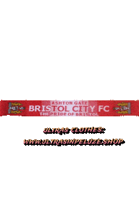 Bristol City Sticker by UltrasInPeluze
